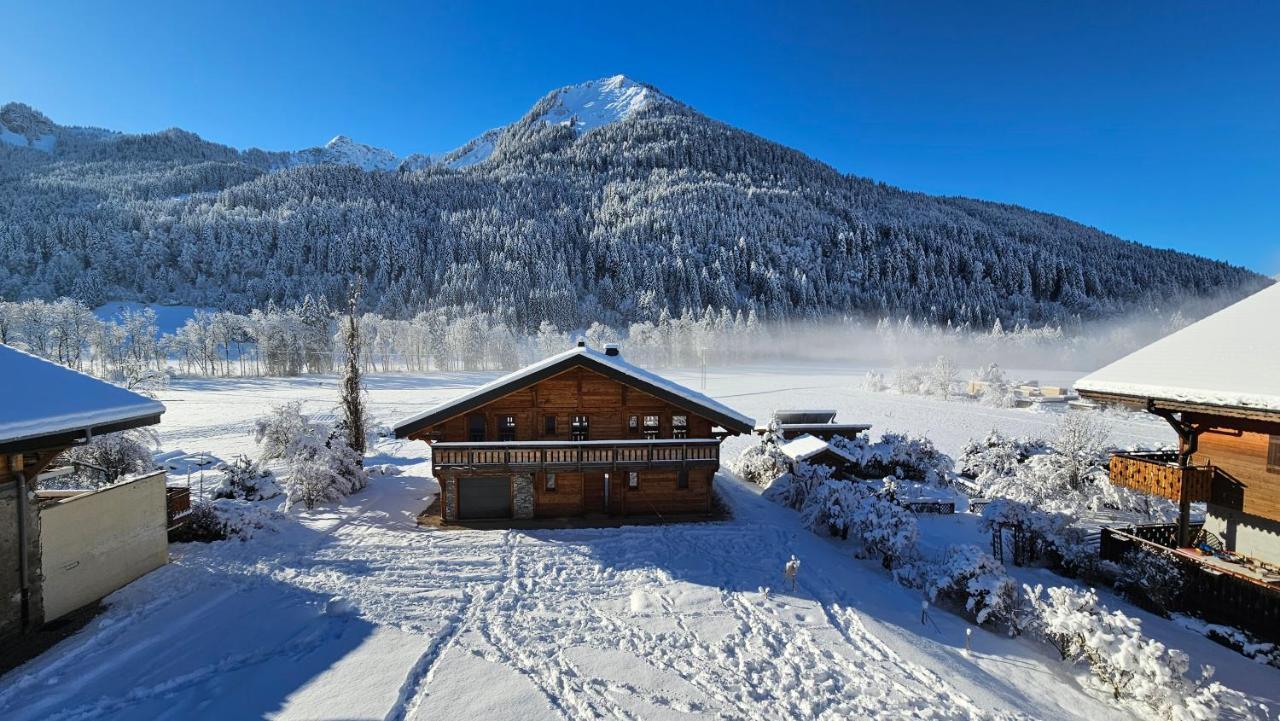 Demi-Chalet Vadel La Panthiaz 15 Pers 5 Chambres Abondance Kültér fotó