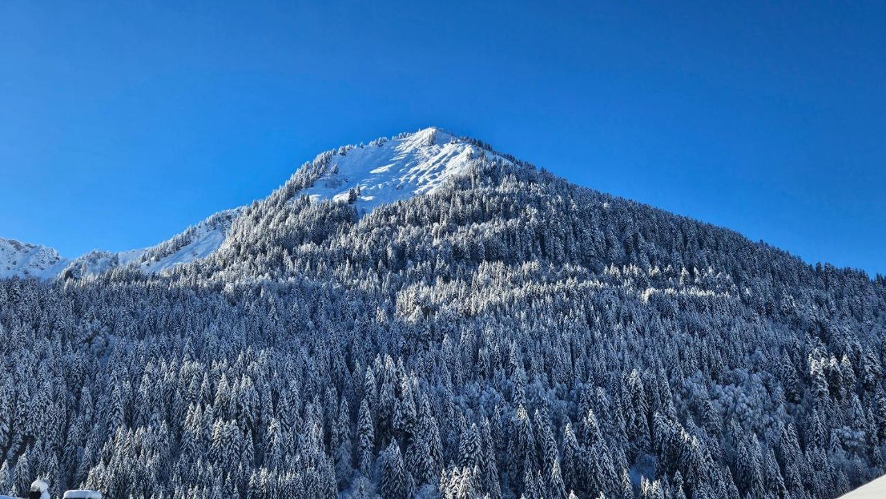 Demi-Chalet Vadel La Panthiaz 15 Pers 5 Chambres Abondance Kültér fotó