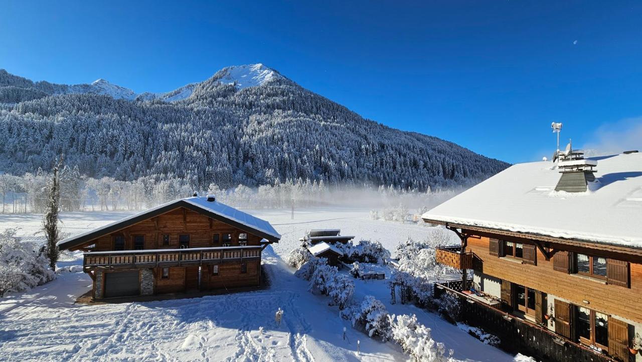 Demi-Chalet Vadel La Panthiaz 15 Pers 5 Chambres Abondance Kültér fotó