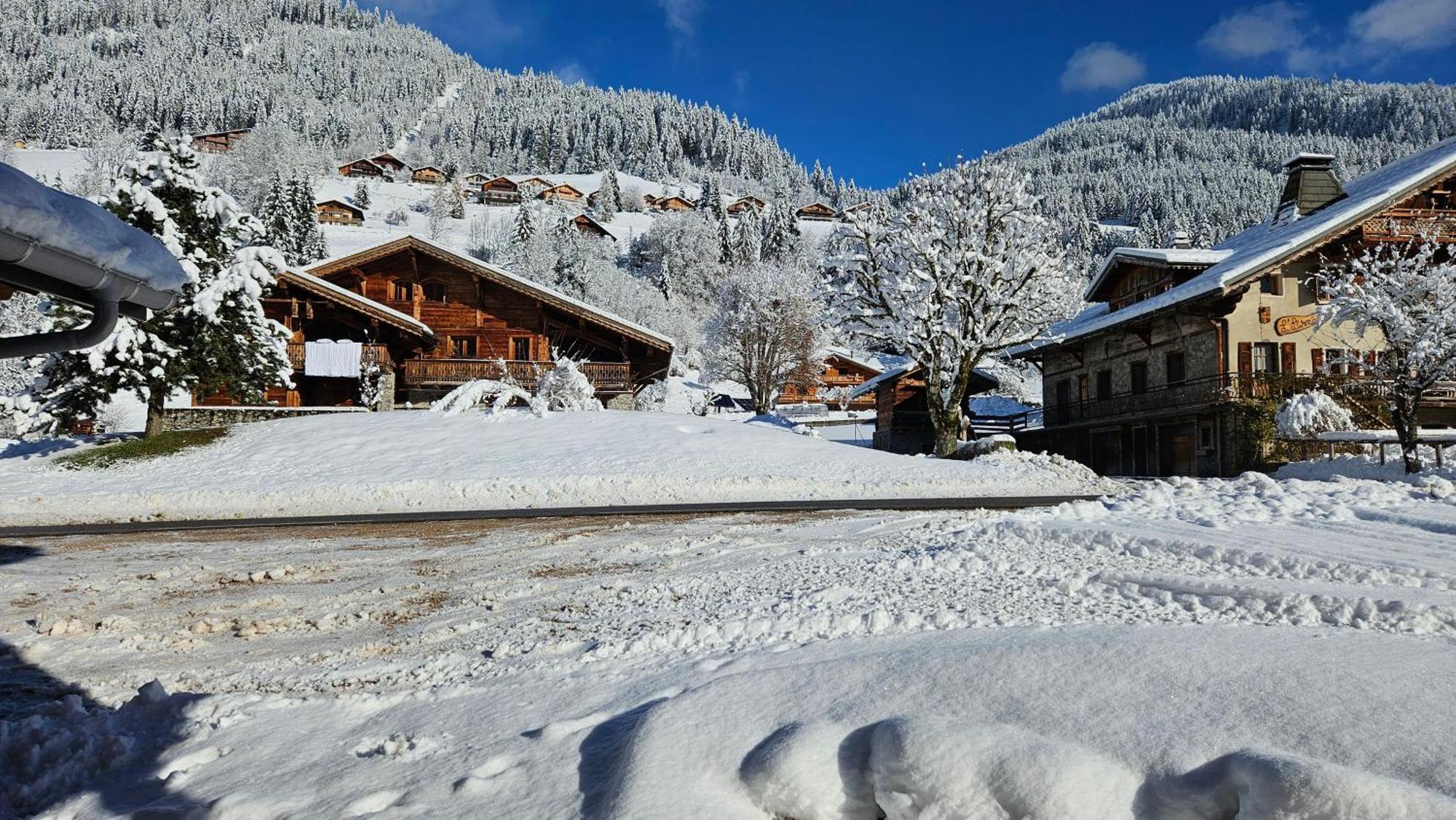 Demi-Chalet Vadel La Panthiaz 15 Pers 5 Chambres Abondance Kültér fotó